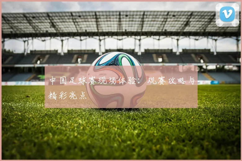 中国足球赛现场体验:观赛攻略与精彩亮点
