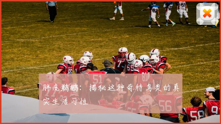 胖虎鹈鹕：揭秘这种奇特鸟类的真实生活习性