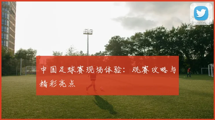中国足球赛现场体验：观赛攻略与精彩亮点